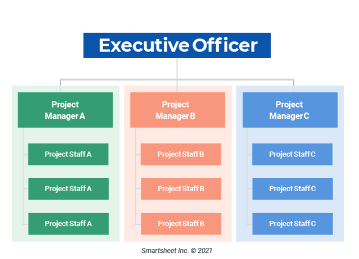 <p></p><p>organises a company around projects not functions or products<br>after projects are completed, teams are dissolved and members reassigned</p><p>key aspects: flexible teams formed around projects, adaptable, project managers have central role</p><p>eg: engineering or construction firms with larger projects </p>