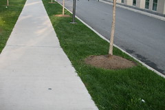 sidewalk