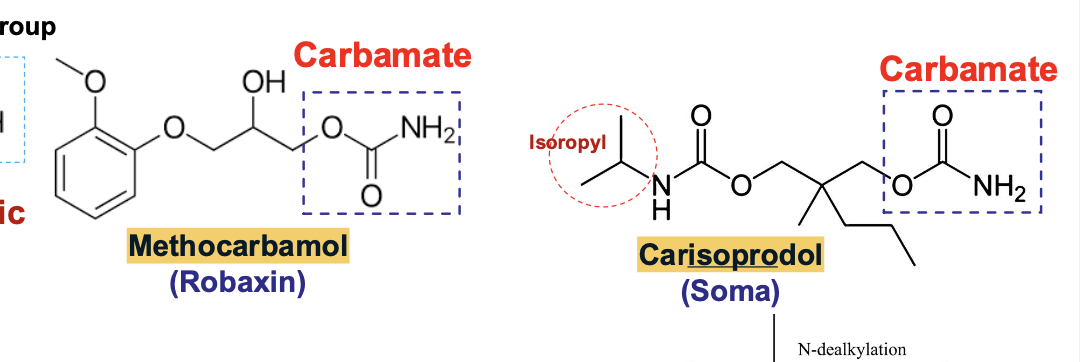 <ol><li><p>Methocarbamol, carisoprodol</p></li></ol><p></p>