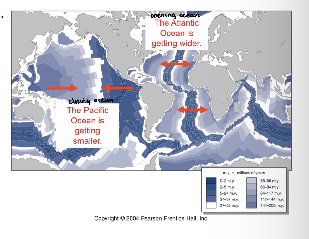 <p>The Pacific Ocean </p>