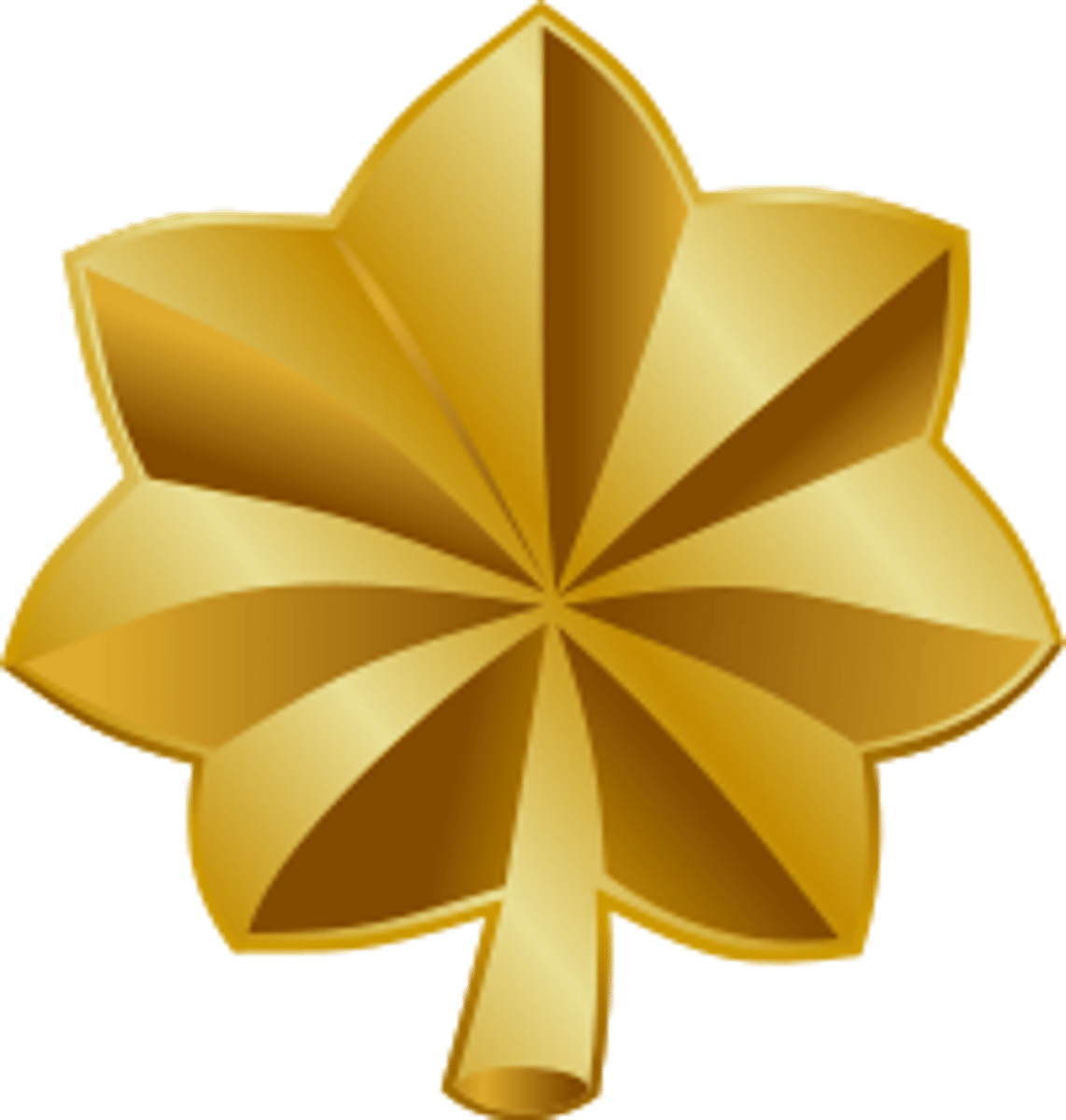 <p>Major</p>