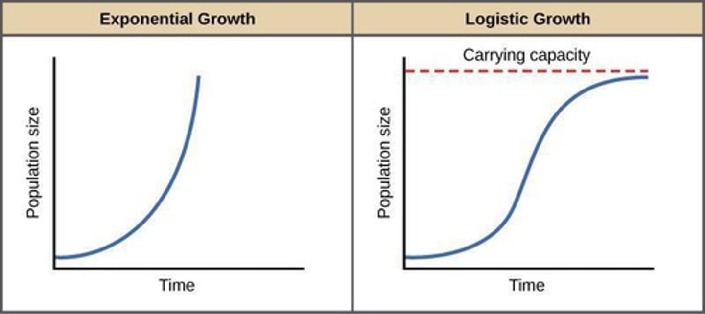 <p>Occurs when a population's growth slows and then stops, following a period of exponential growth.</p>
