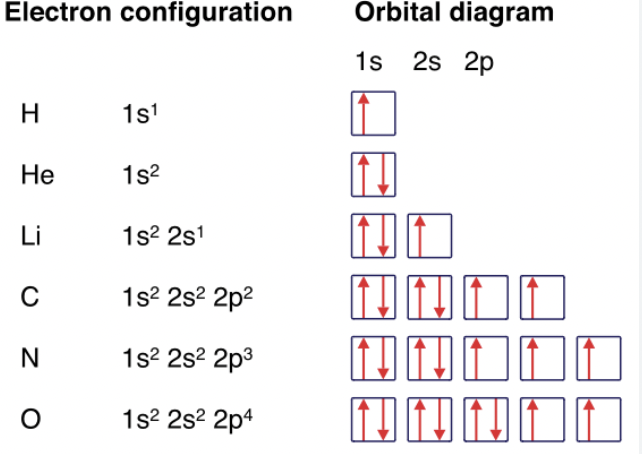 <p>First row elements formed by adding e- to 1st shell of orbitals around nucleus. There is only one orbital in the first shell, called the 1s orbital.</p><p>Each orbital can have a maximum of two electrons, which means only 2 elements have this.</p><p>Hydrogen (H) 1s1 configuration with one electron in 1s orbital Helium (He) has a 1s2 configuration with two electrons in 1s orbital</p>