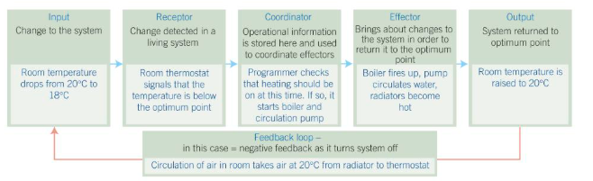 <p>Control mechanisms:</p>