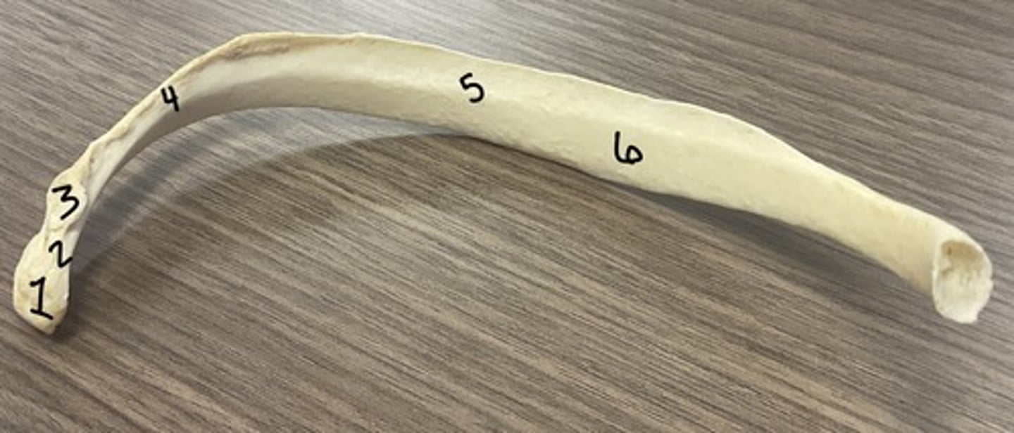 <p>What is structure 1?</p>