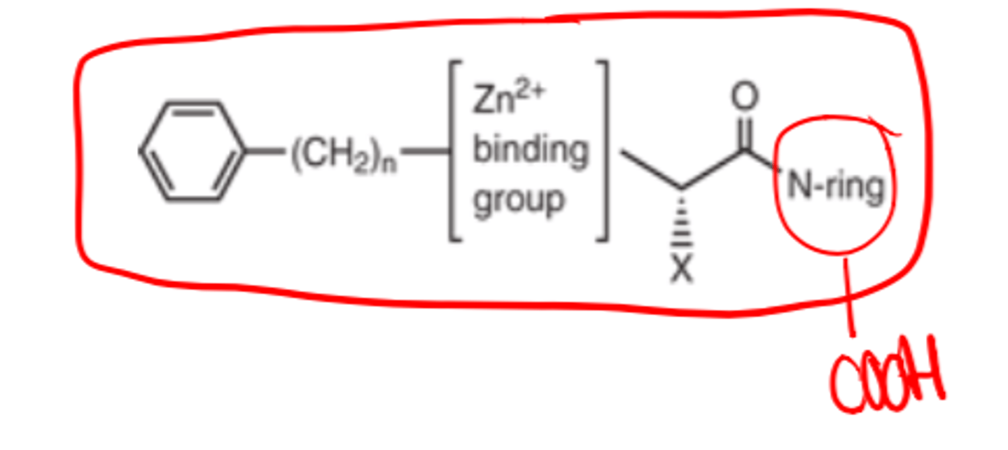 <p>- heterocyclic (i.e., the N-ring)</p>