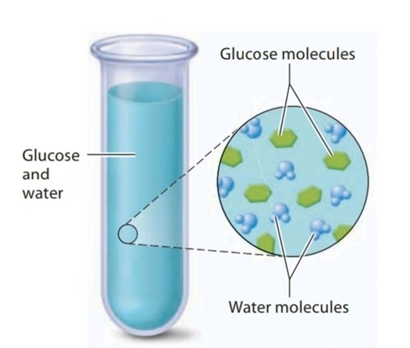 <p>Homogeneous liquid mixture in which a solute is dissolved into molecules within a solvent</p>