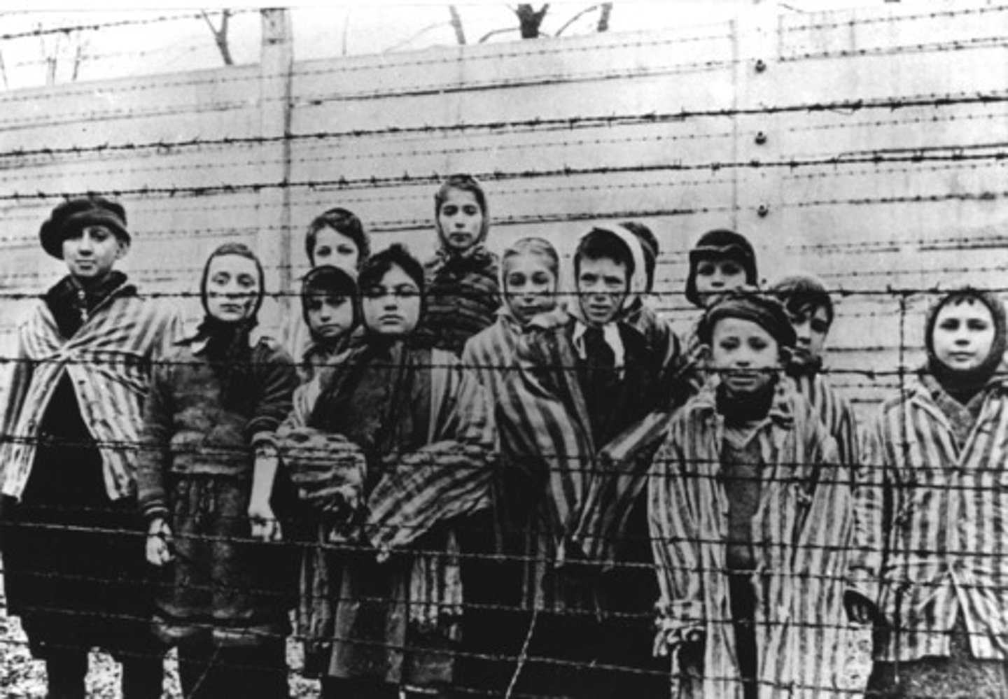 <p>a systematic approach to eliminate Jews in Europe</p>