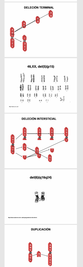 <ul><li><p>delecion : <strong>MONOSOMIA PARCIAL</strong></p><ul><li><p>intersticial: dos rupturas, el segmento distal se une </p></li><li><p>terminal: <strong>MONOSOMPIA PARICAL </strong></p><p>se va el segmento distal</p></li></ul></li><li><p>duplicación: <strong>TRISOMÍA PARCIAL</strong></p><p>se duplica un segmento del cromosoma</p></li><li><p>traslocación </p></li></ul><p></p>