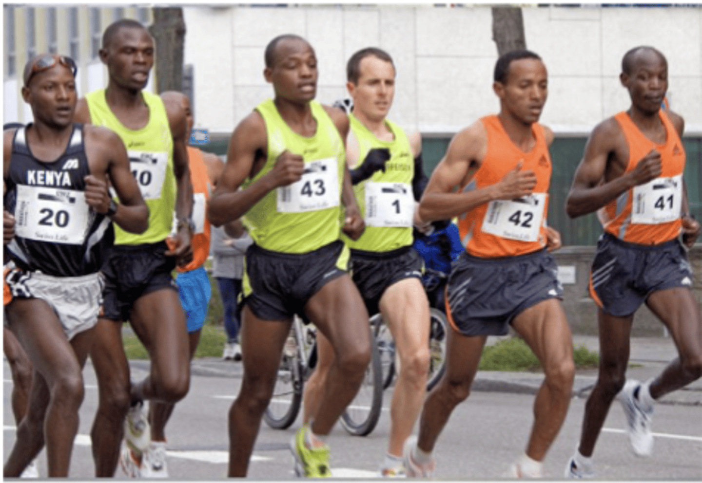 <p>-little force on muscles over multiple repetitions; utilizes oxidative fibers (SO and FO fibers)</p><p>-leads to increased # of mitochondria, myoglobin synthesis (carries O2), muscle capillaries/angiogenesis (resists fatigue), conversion of FG to FO (less muscle mass)</p>