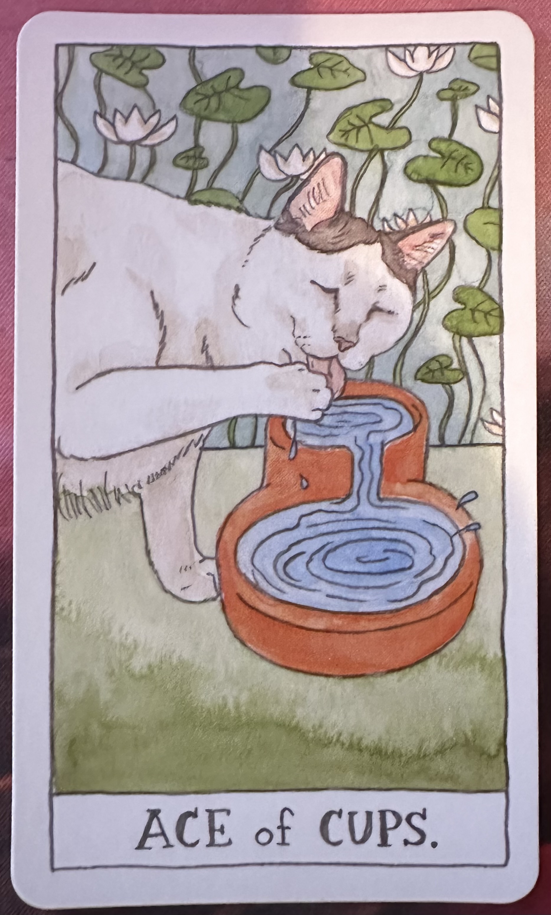 <p>Ace of Cups Upright</p>