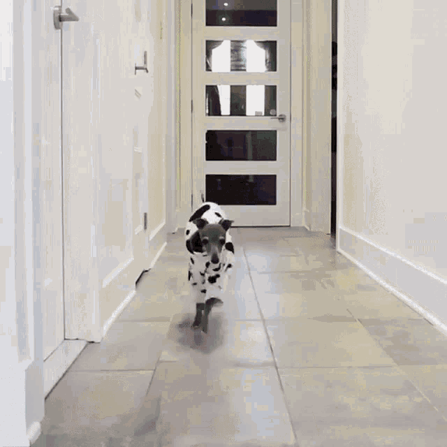 <p><strong>to put on clothes to see if they fit</strong><br><em>Try on these shoes.</em></p>