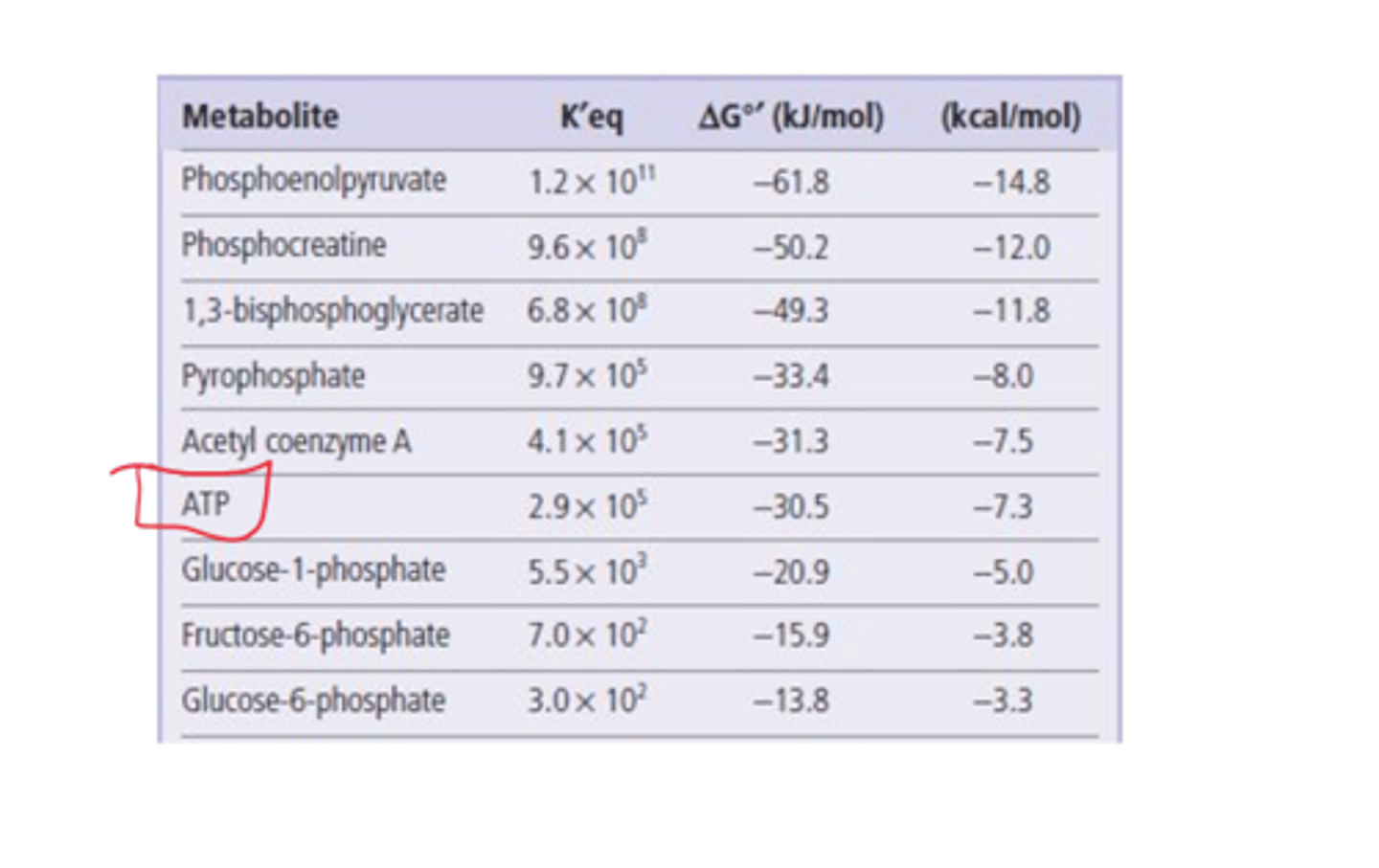 <p>-30.5 kJ/mol</p>