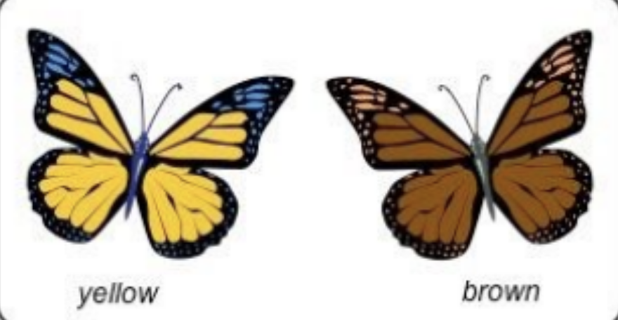 <p>there is genetic variation within a population which can be inherited</p>