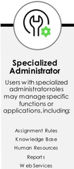<p>Grants a user who is accountable for managing specific functions or applications</p>