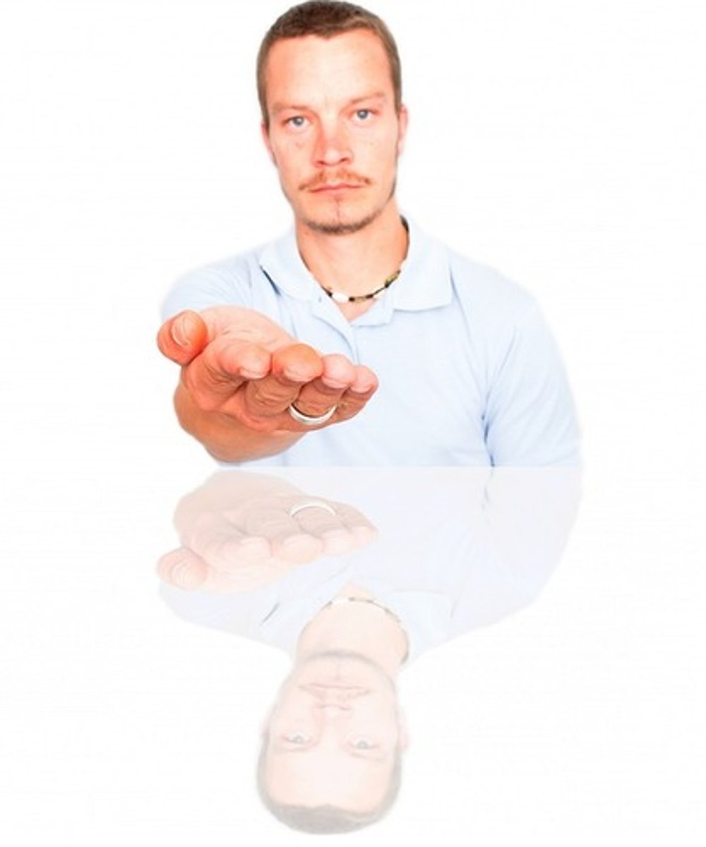 <p>A white person who wants to 'save' people of colour by doing 'good'</p>