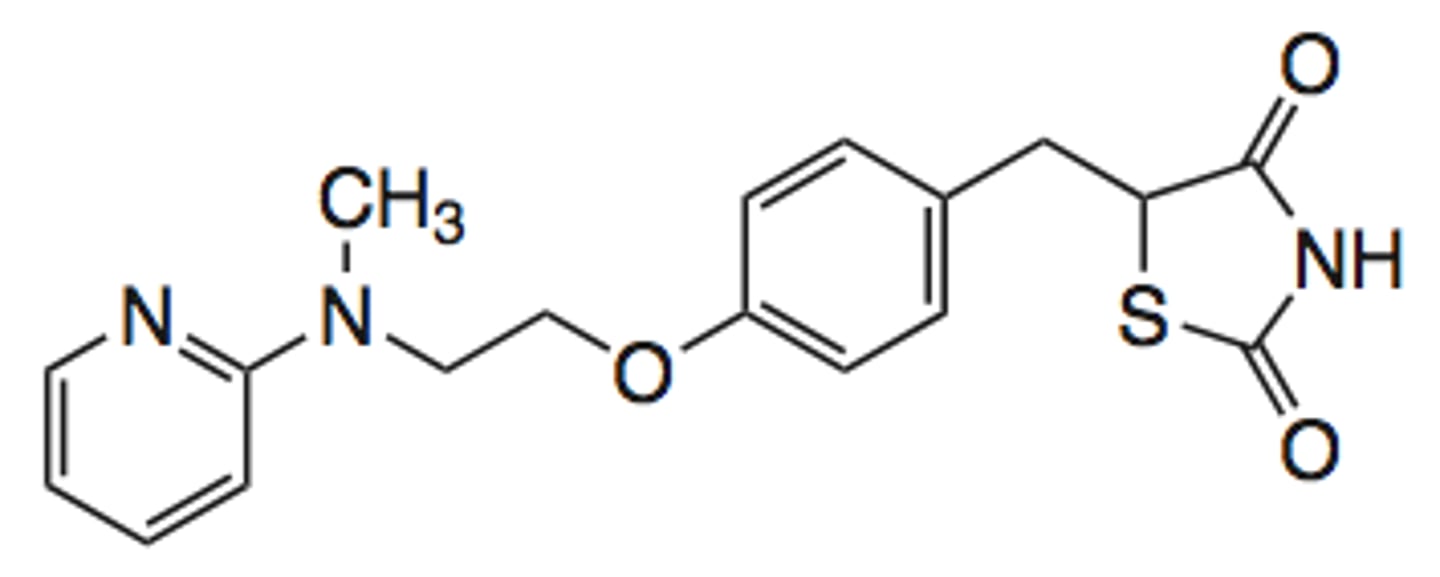 <p>PPARg agonist</p>