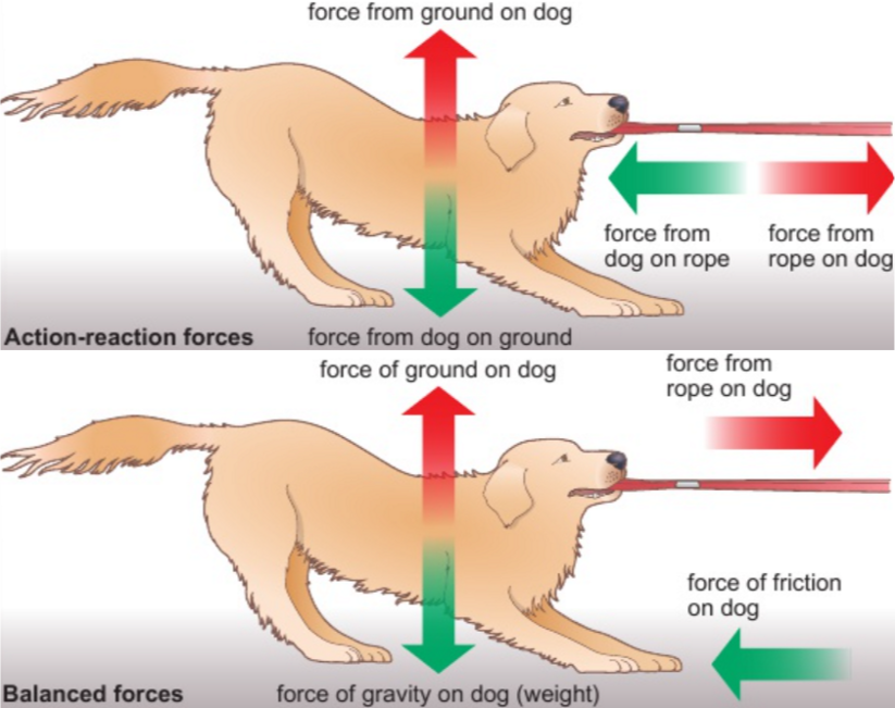 <p>action-reaction forces: act on <strong>different </strong>objects</p><p>balanced forces: act on <strong>same </strong>object</p>