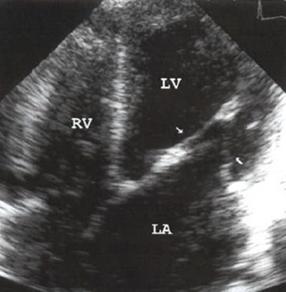 <p>what is this?</p>