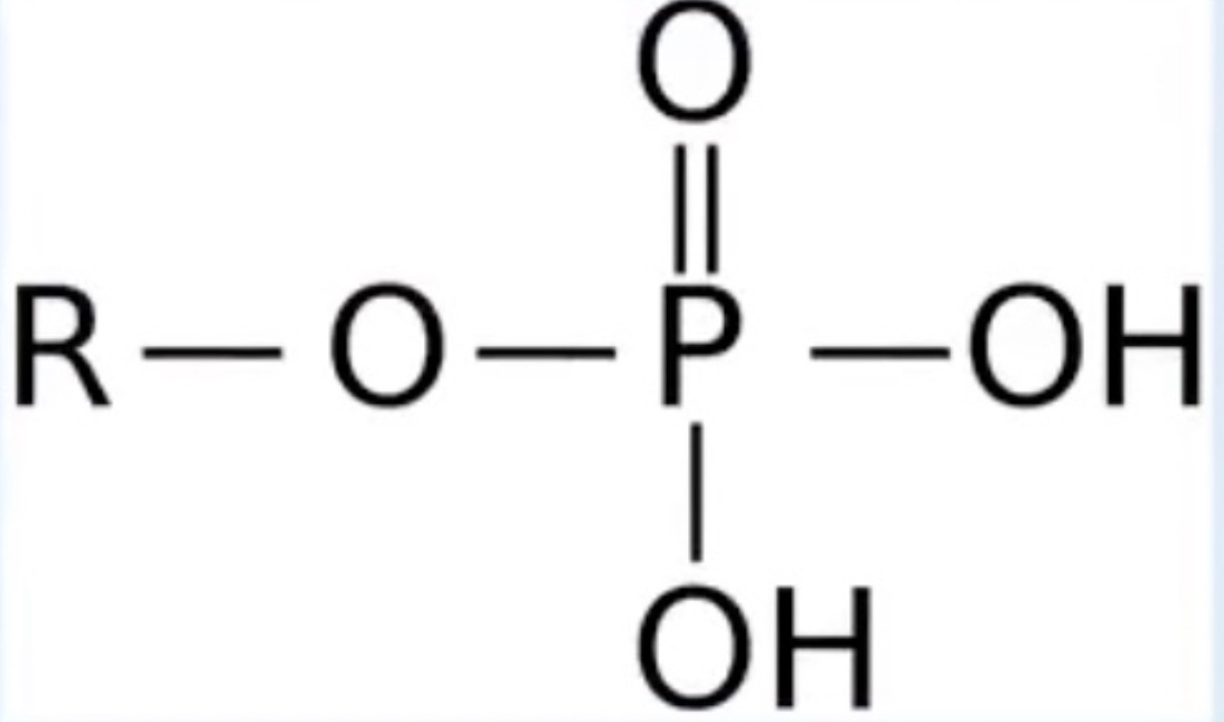 <p>Phosphate; Phosphate surrounded by oxygen</p>