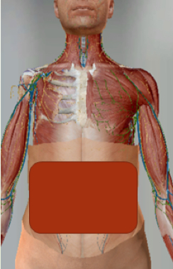 <p>what is the red area in the picture? </p>