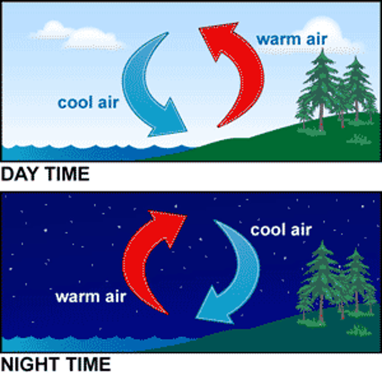<p>The transfer of thermal energy through the movement of a gas or a liquid, like warm water rising and cold water sinking in the ocean.</p>