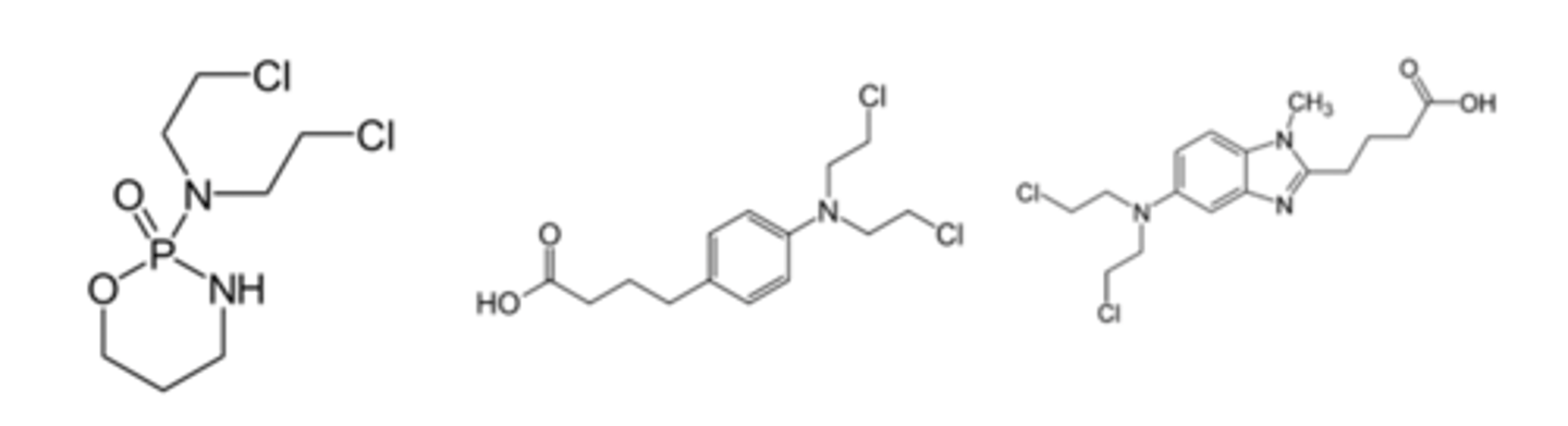 <p>Shown below are three nitrogen mustard (aziridine-activated) alkylating agents that are anticancer agents. Identify the pharmacophore that forms the reactive aziridine intermediate that cross-links DNA.</p>