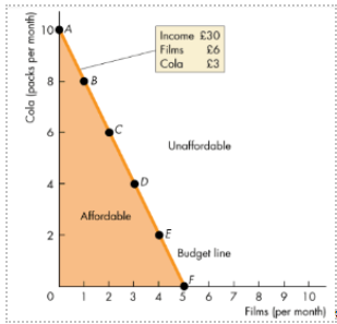 <p>Explain the budget constraint graph</p>