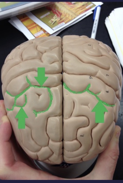 <p>What is this?</p>