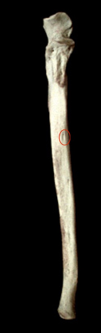 <p>What structure is this?</p>
