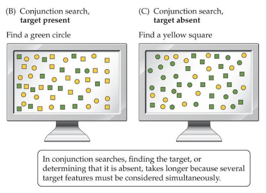 <p>Search for a target on the basis or a combination of features</p>