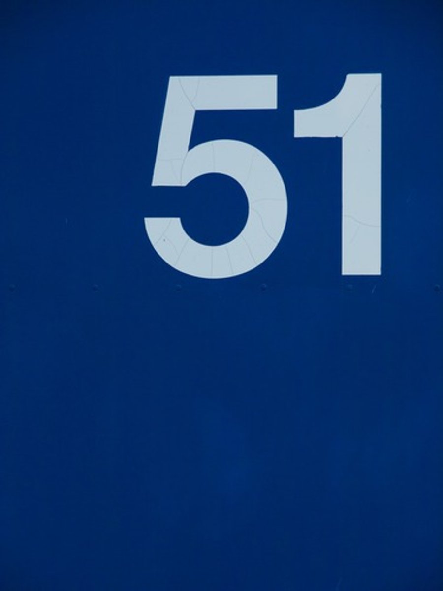 <p>51</p>