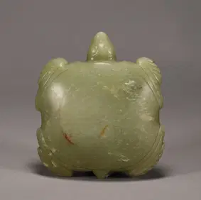 <p>Turtle</p>