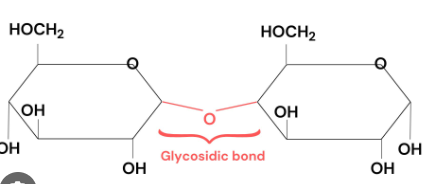 <p><strong>covalent bond</strong> formed with <strong>condensation reaction</strong> connected with an <strong>oxygen</strong></p>
