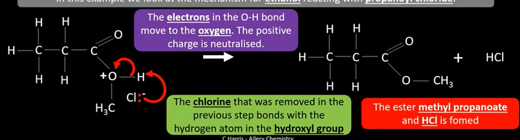 <ul><li><p>Chlorine that was removed in the previous step bonds with hydrogen atom in the hydroxyl group -HCL breaks off </p></li><li><p>Electrons in the OH bond move to the positive O →Neutralising the charge </p></li><li><p>Producing methyl propanoate and HCL </p></li></ul><p></p>