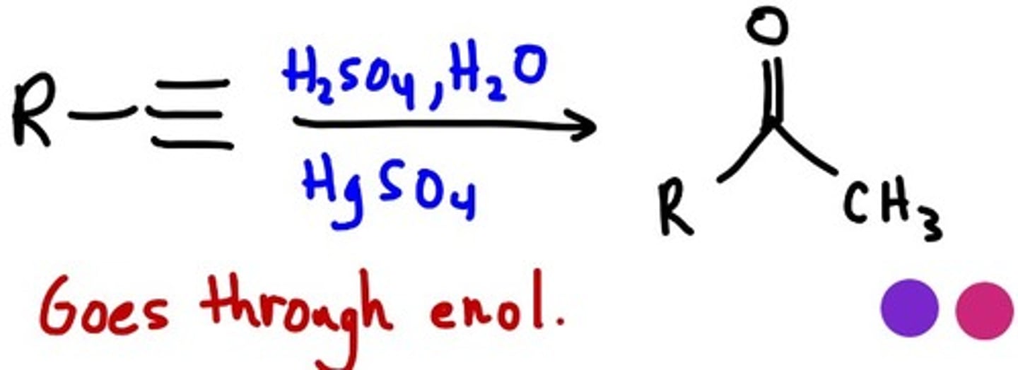 <p>Follows Markovnikov's rule; the OH group adds to the more substituted carbon</p><p>forms an enol, which immediately rearranges to form a more stable ketone/aldehyde</p>