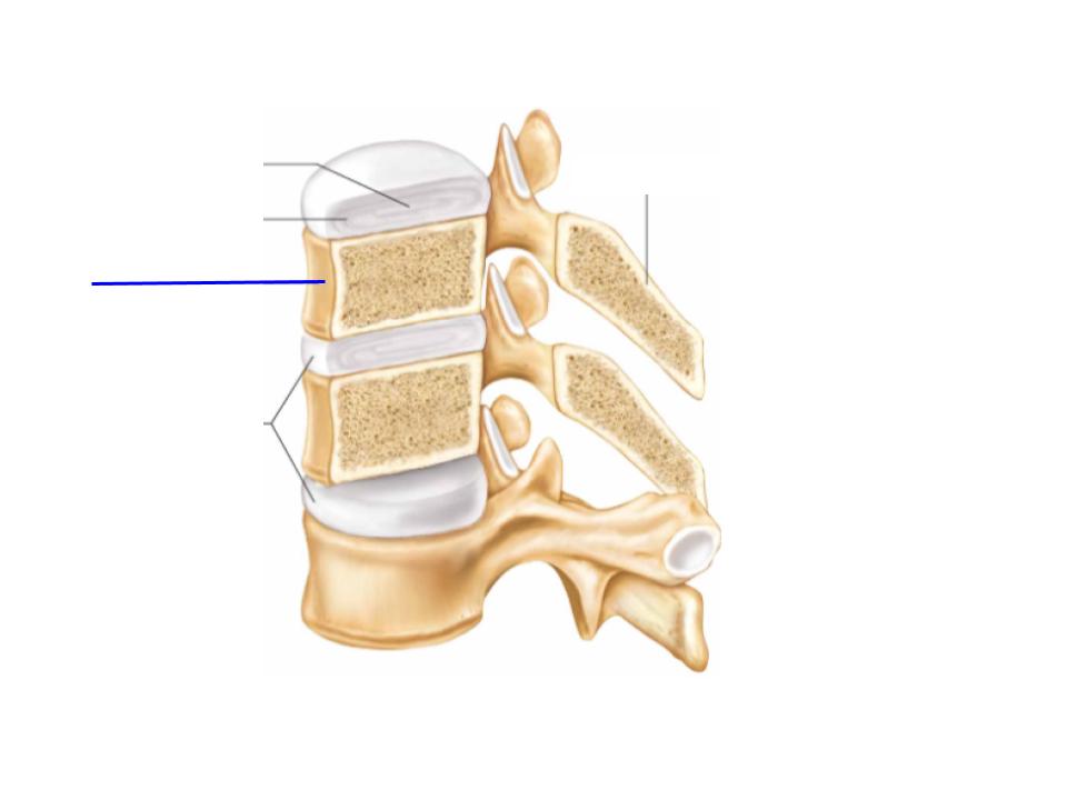 <p>What is this image pointing at? </p>