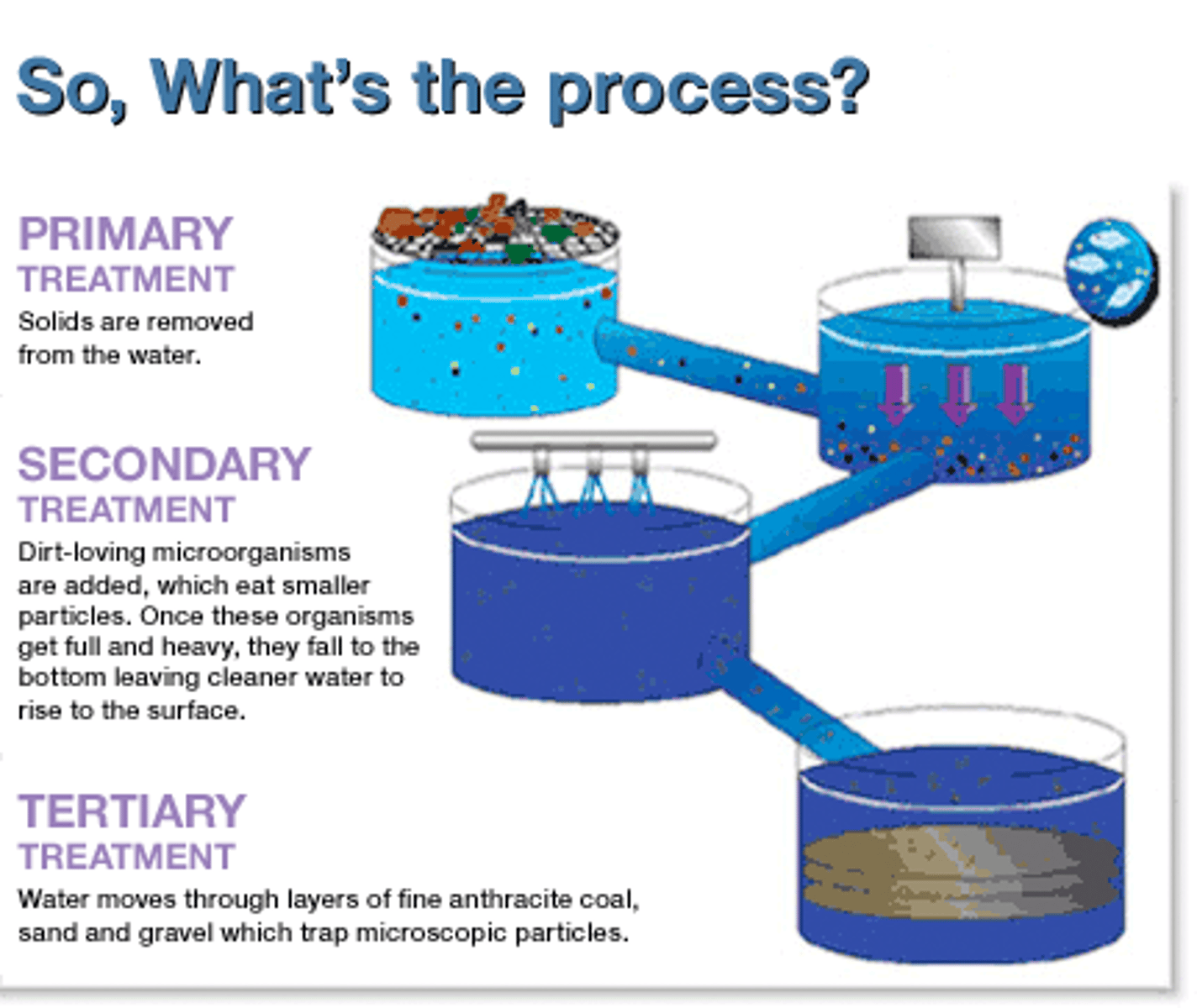 <p>Second step of sewage treatment; bacteria breakdown organic waste, aeration accelerates the process</p>