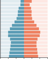 <p>not growing</p><p>high life expectancy and low birth rate</p><p>narrow at top </p><p>developed countries</p><p>e.g. Ireland</p>