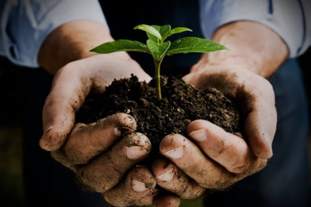 <p>Good Soil</p>