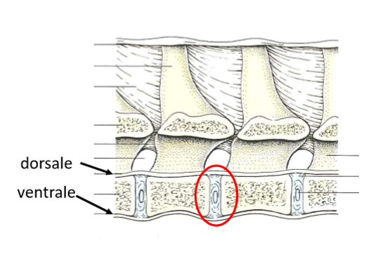 <p>Led? Beskrivning? Innehåll? Övrigt?</p>