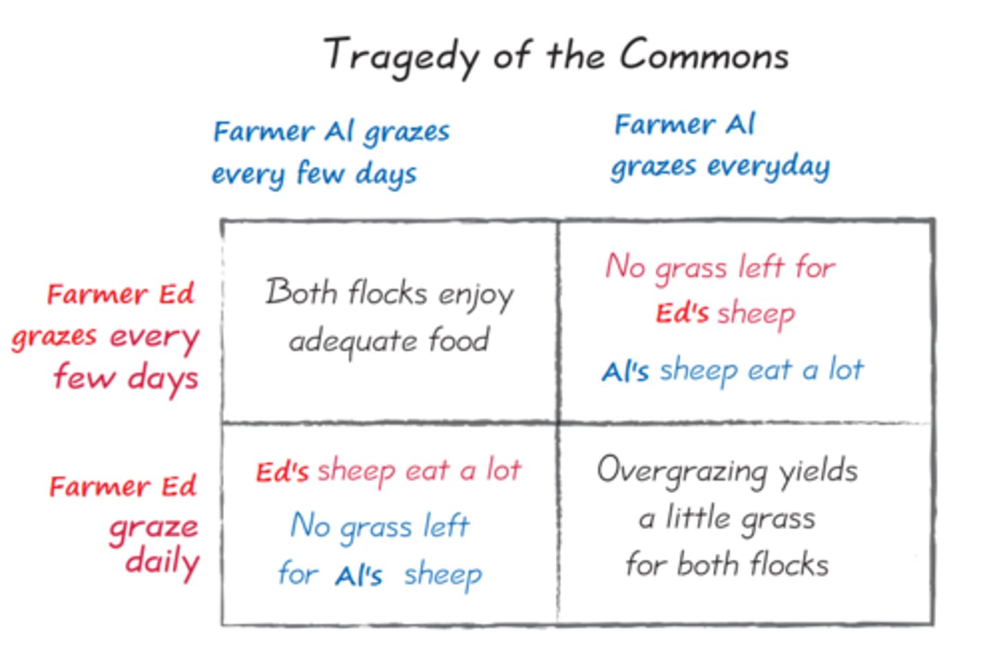 <p>Both graze their sheep daily.</p>