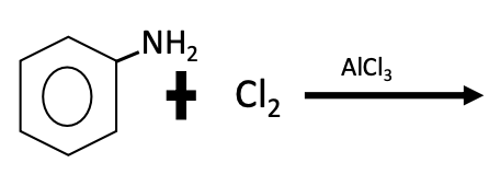 <p>Identify the main product(s) of the following reaction.</p>