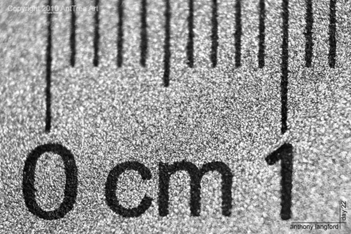 <p>1 centimeter</p>