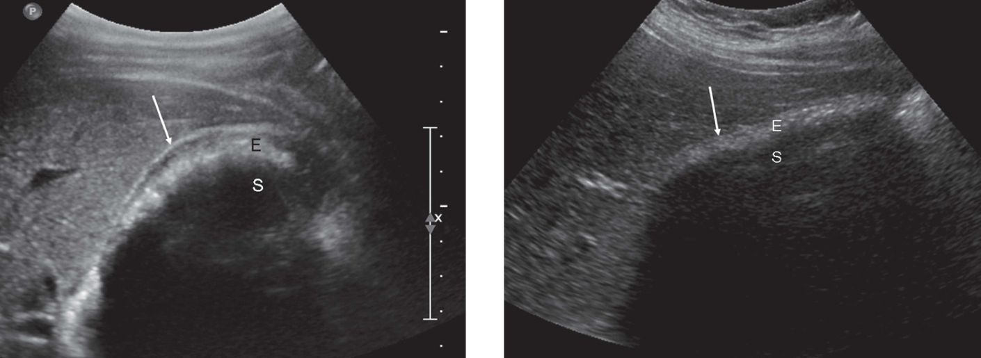 <p>what is shown?</p>