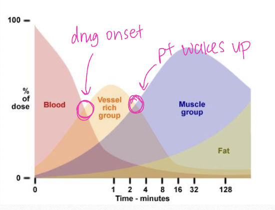 <ol><li><p>physical redistribution</p></li><li><p>metabolic degradation</p></li><li><p>renal excretion</p></li></ol><p></p>