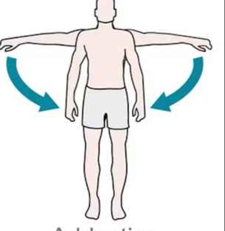 <p>moving arms toward midline</p>