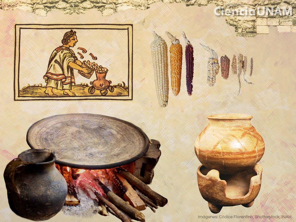 <p>Arqueología </p>