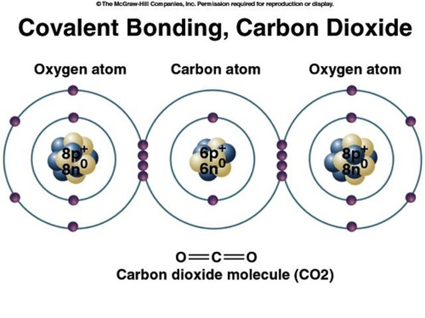 <p>Share two electron pairs.</p>