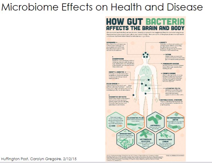 <p>-so mood is by your gut -gut communicating to brain -5-HT releases serotonin and made by colon</p>